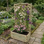 Istutuskast Trellis Arc